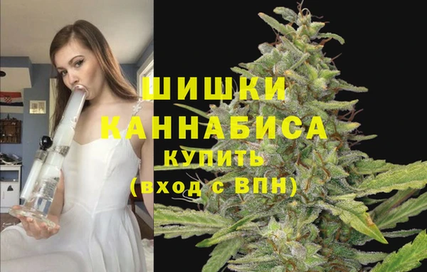 ALPHA-PVP Медвежьегорск