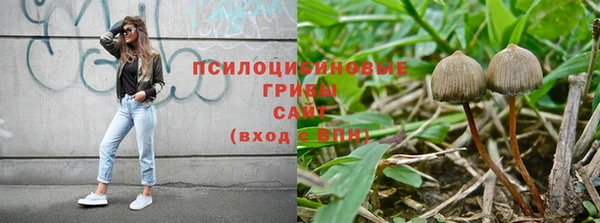 ALPHA-PVP Медвежьегорск